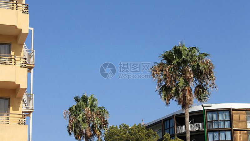 材质对比：一次性与棉质毛巾的优缺点